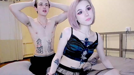 meowpink_cats  28-03-2022